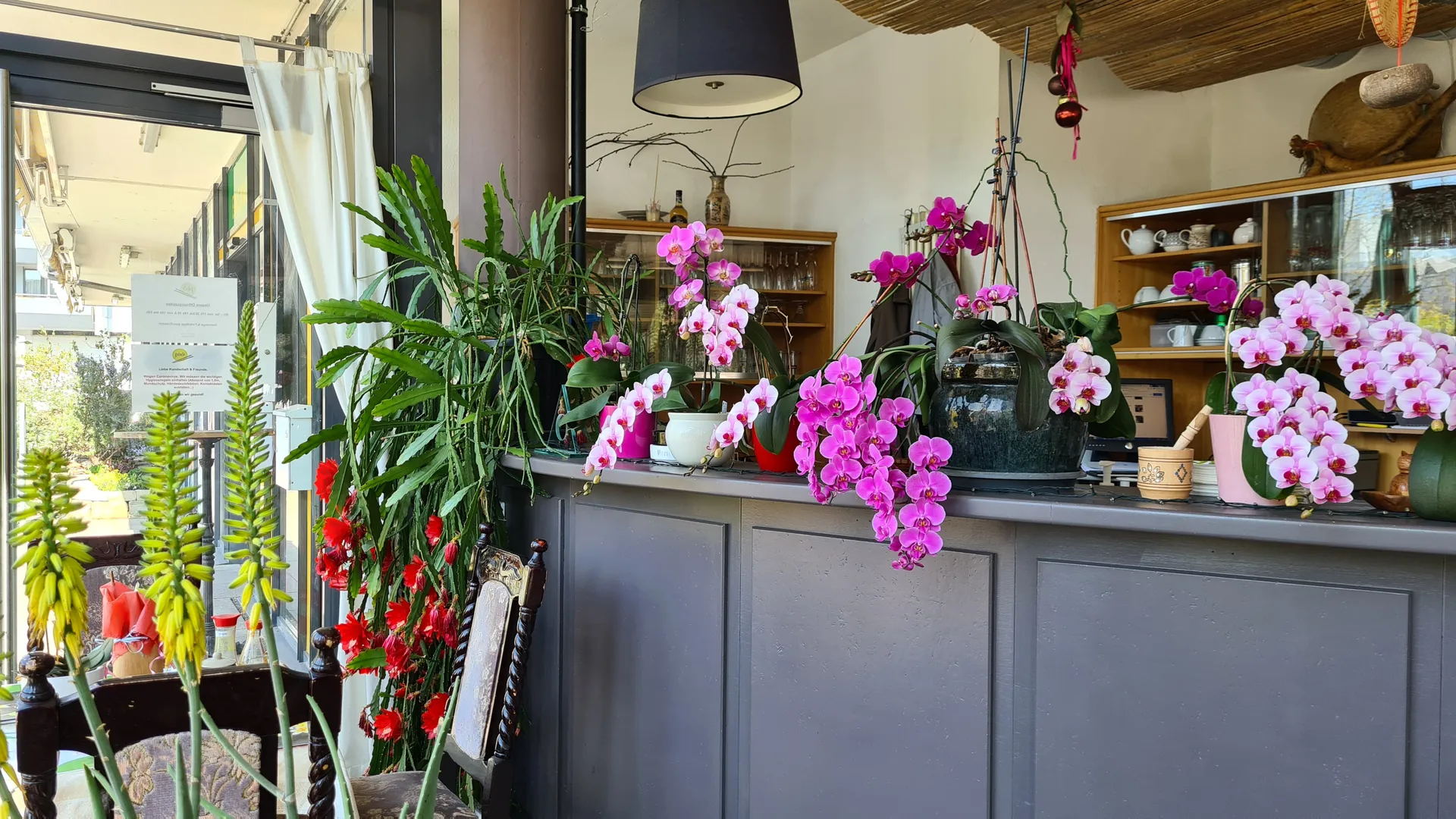 Blühende Orchideen und Pflanzen an der Theke des Restaurants