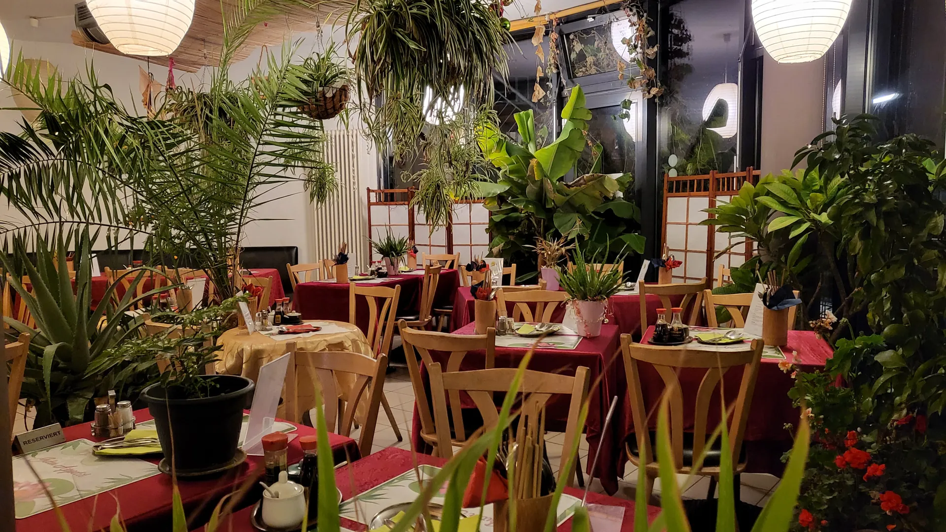 Abendstimmung im Restaurant: warmes Lampenlicht, rote Tischdecken und viele Grünpflanzen